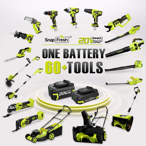 SnapFresh 20V 2.0Ah Battery